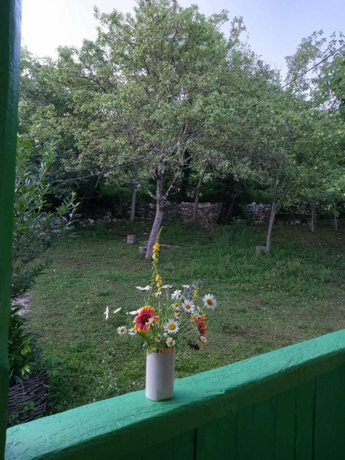 Guest House Guliada Gordi Экстерьер фото
